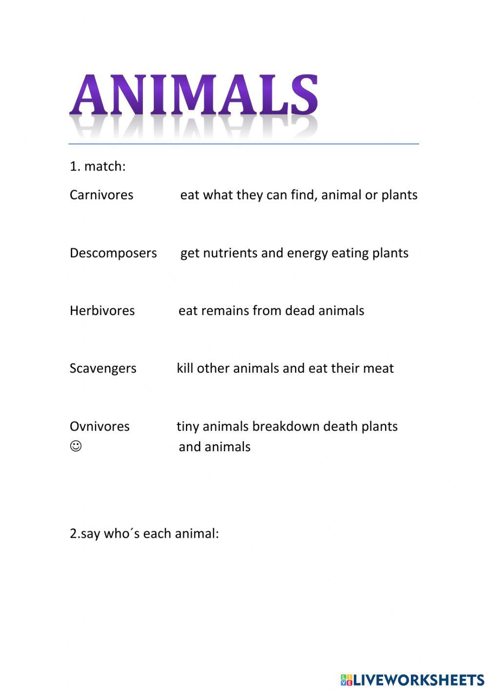 Animals