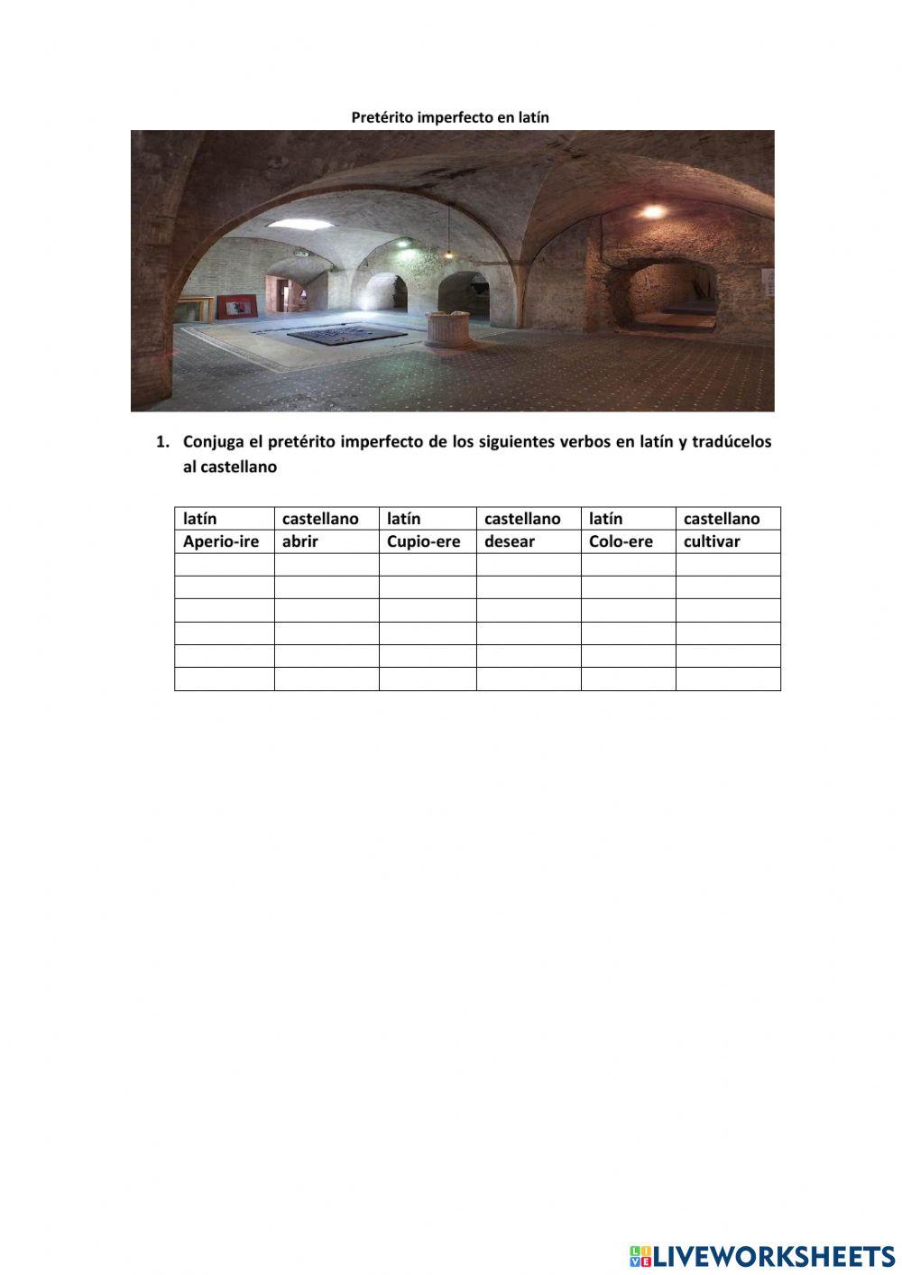 Pretérito imperfecto