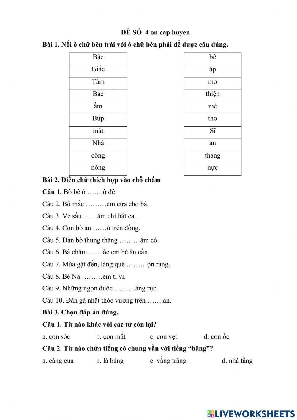 De 4 on TNTV cap huyen