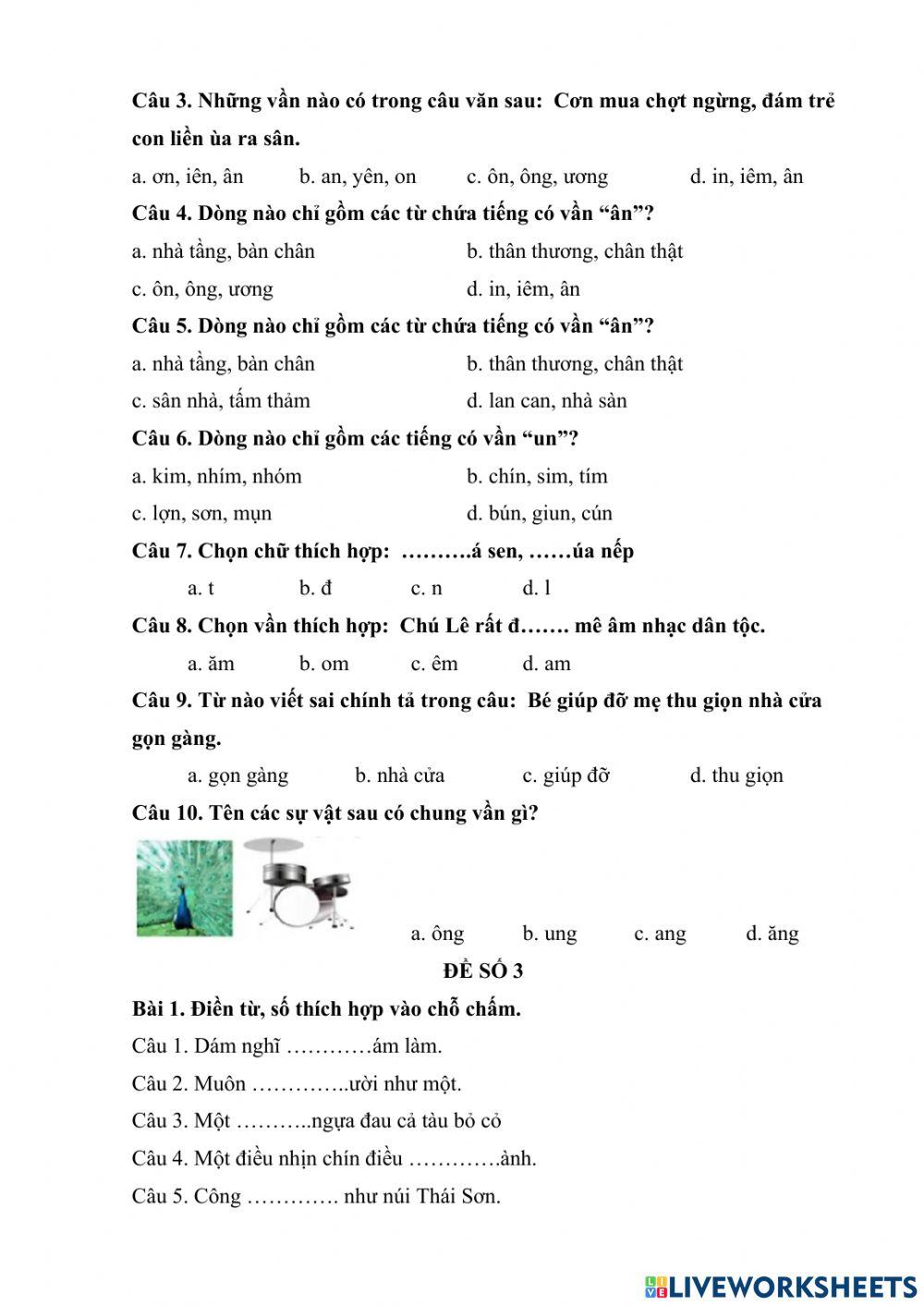 De 4 on TNTV cap huyen