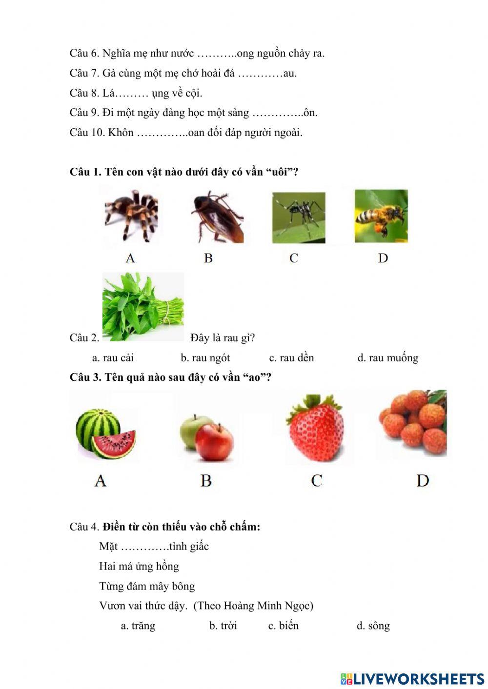 De 4 on TNTV cap huyen