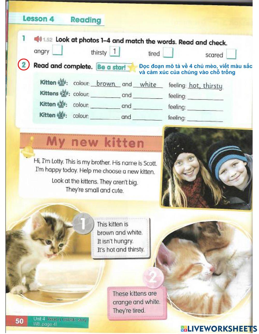 Unit 4: Fantastic feelings - Lesson 4