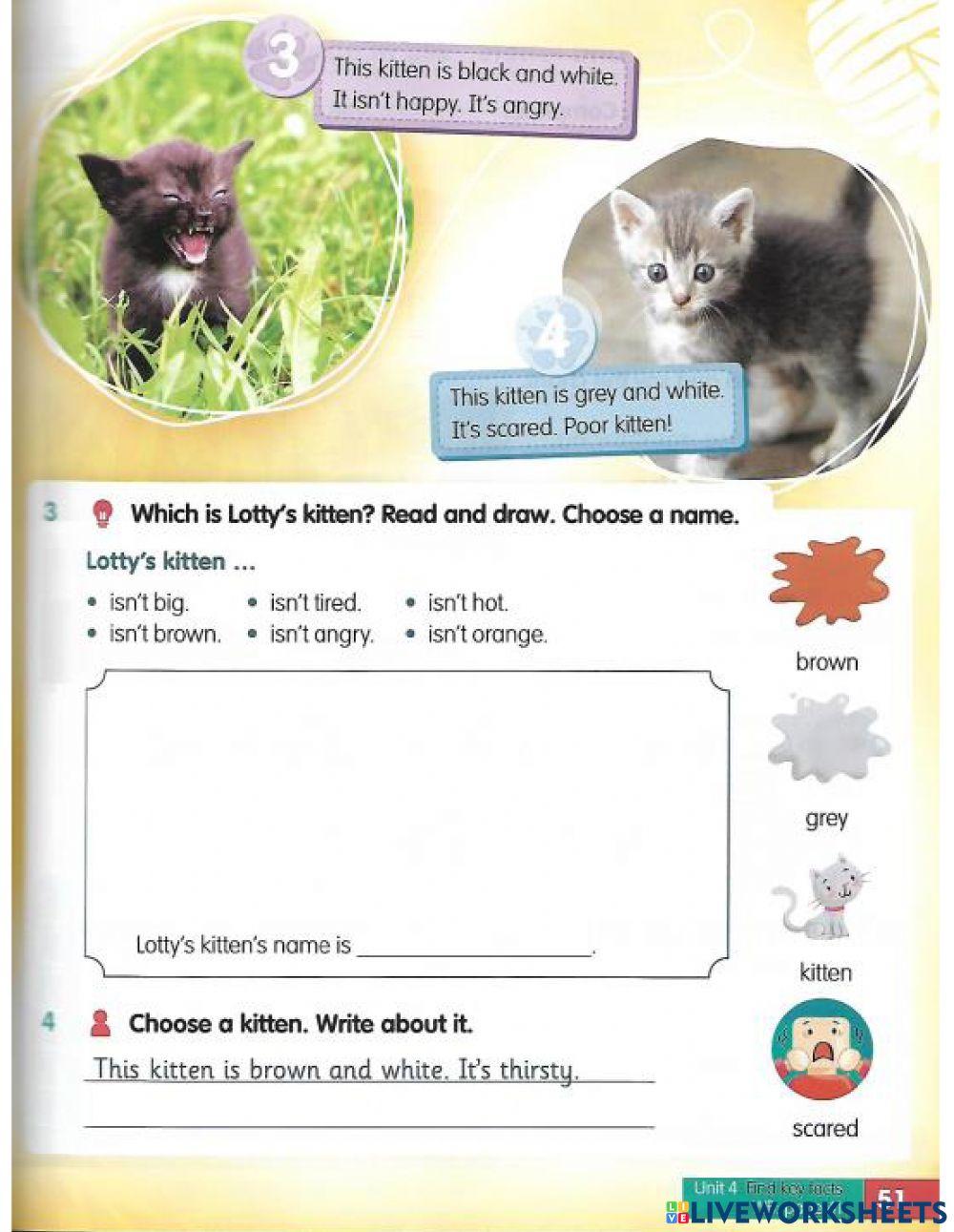 Unit 4: Fantastic feelings - Lesson 4