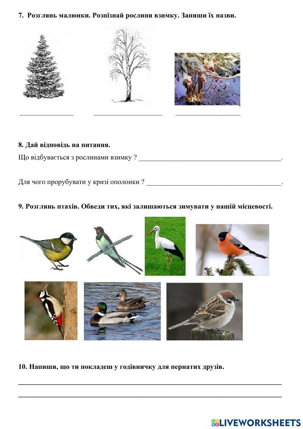 Діагностувальна робота з ЯДС за темою -Природа взимку-