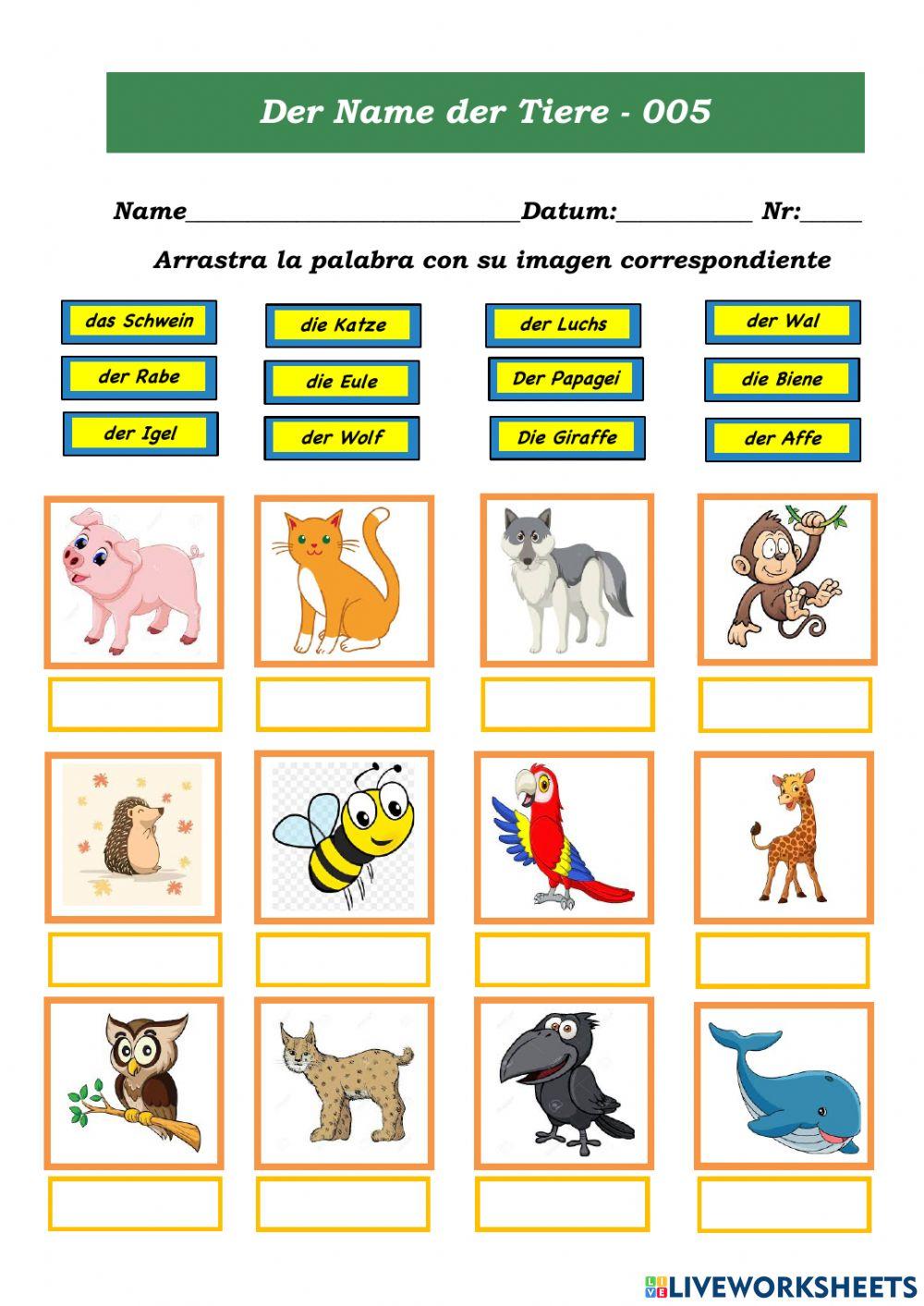 Der Name der Tiere 005