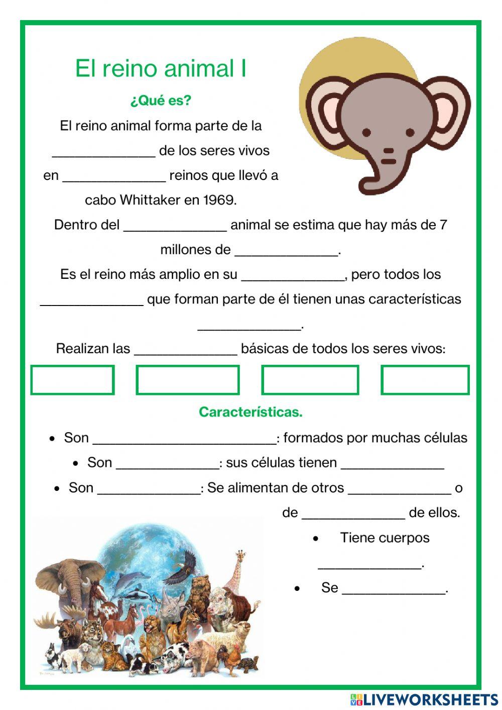 El reino animal I - ¿Qué es? - Características