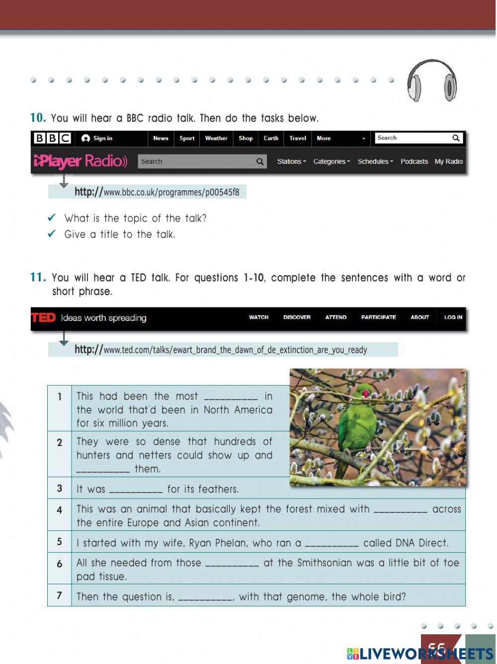 Unit 5-Animal Rights-A lykeiou-part a