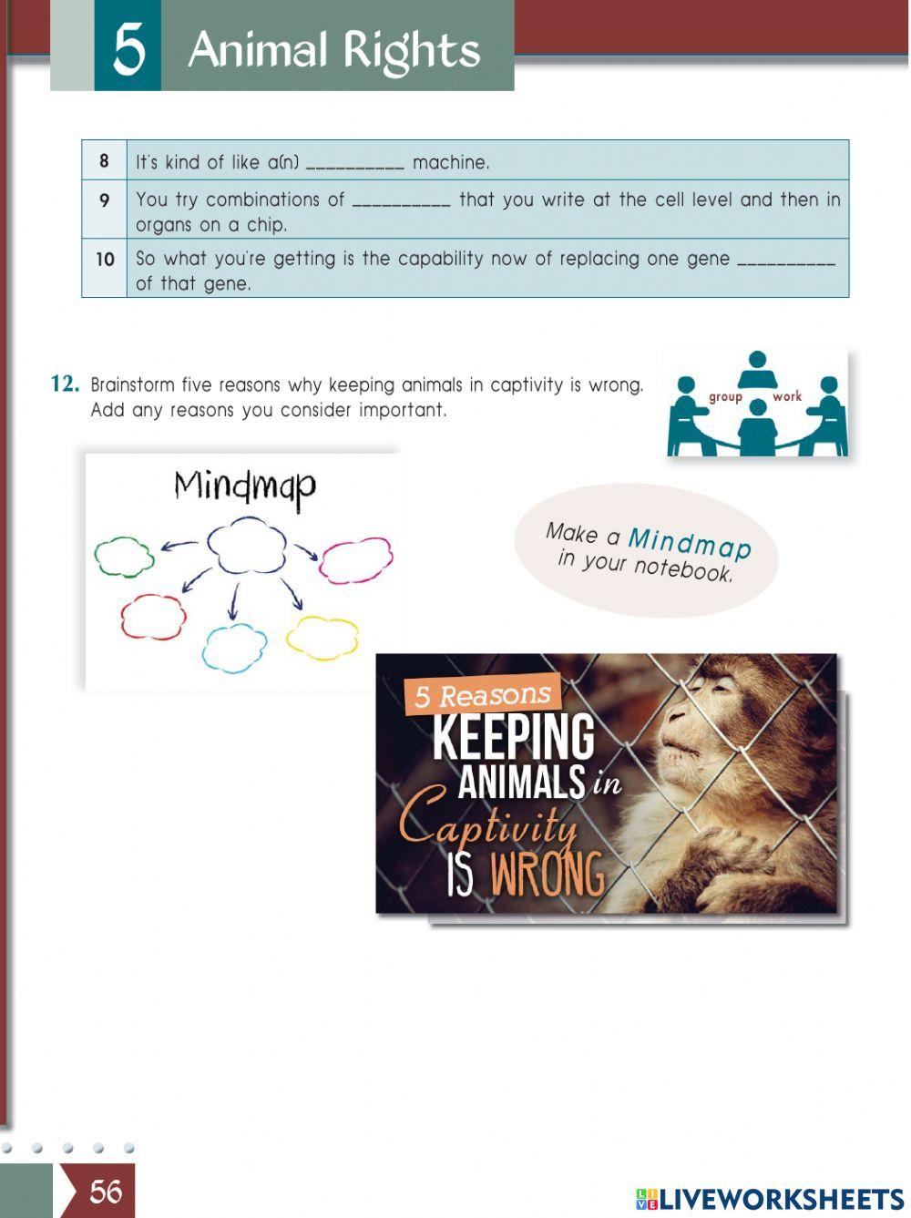 Unit 5-Animal Rights-A lykeiou-part a