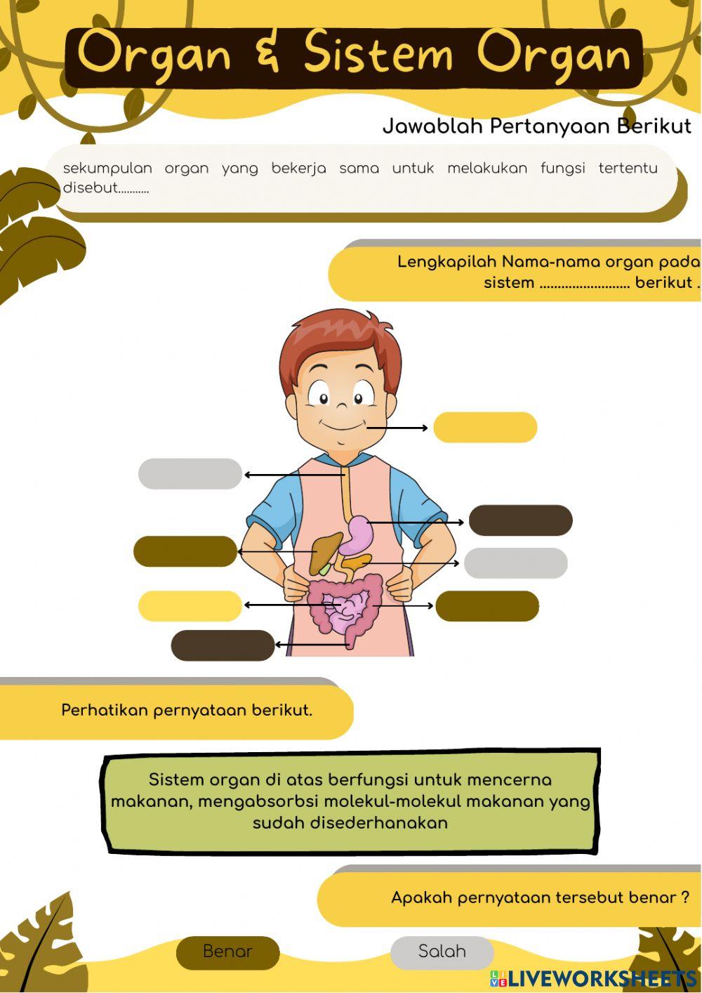 Organ & Sistem Organ