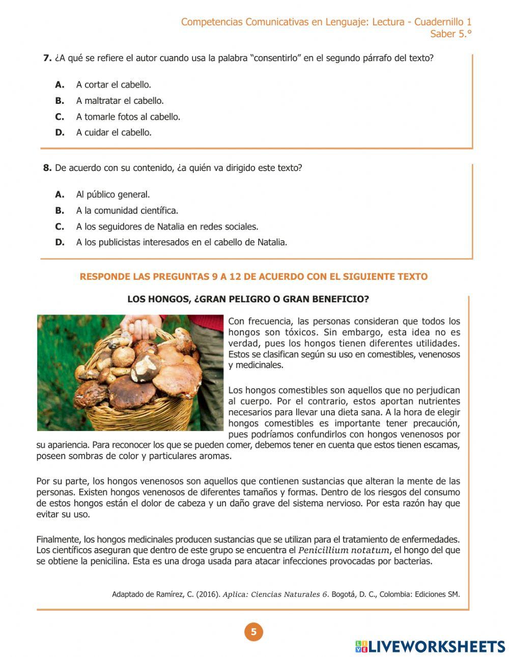 Evaluar para avanzar - lenguaje 5