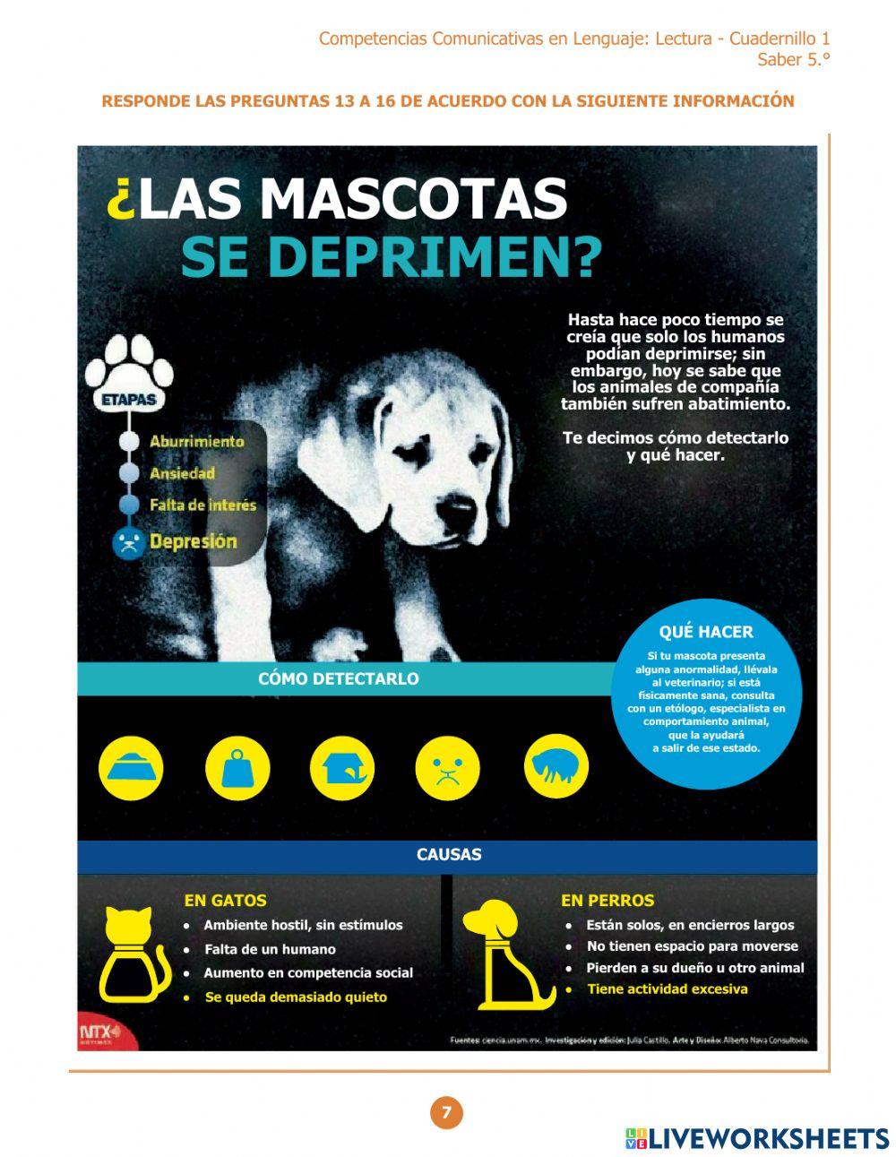 Evaluar para avanzar - lenguaje 5