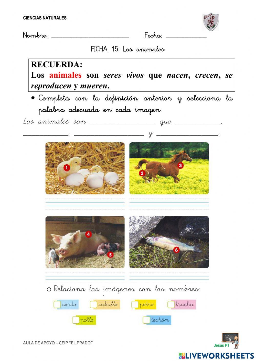 Ficha 15 Los animales-1EP-Ciencias Naturales Ficha 15 Los animales-1EP-Ciencias Naturales
