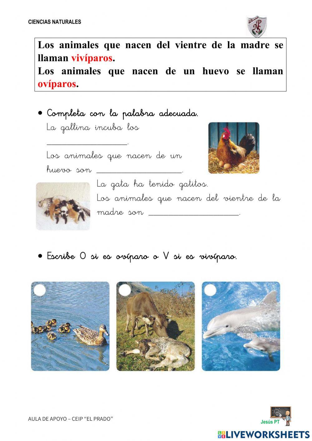 Ficha 15 Los animales-1EP-Ciencias Naturales