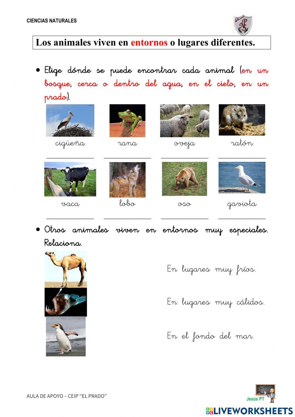 Ficha 16 Los animales-1EP-Ciencias Naturales