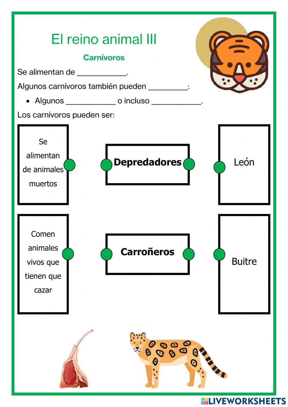 Reino animal III - Carnívoros