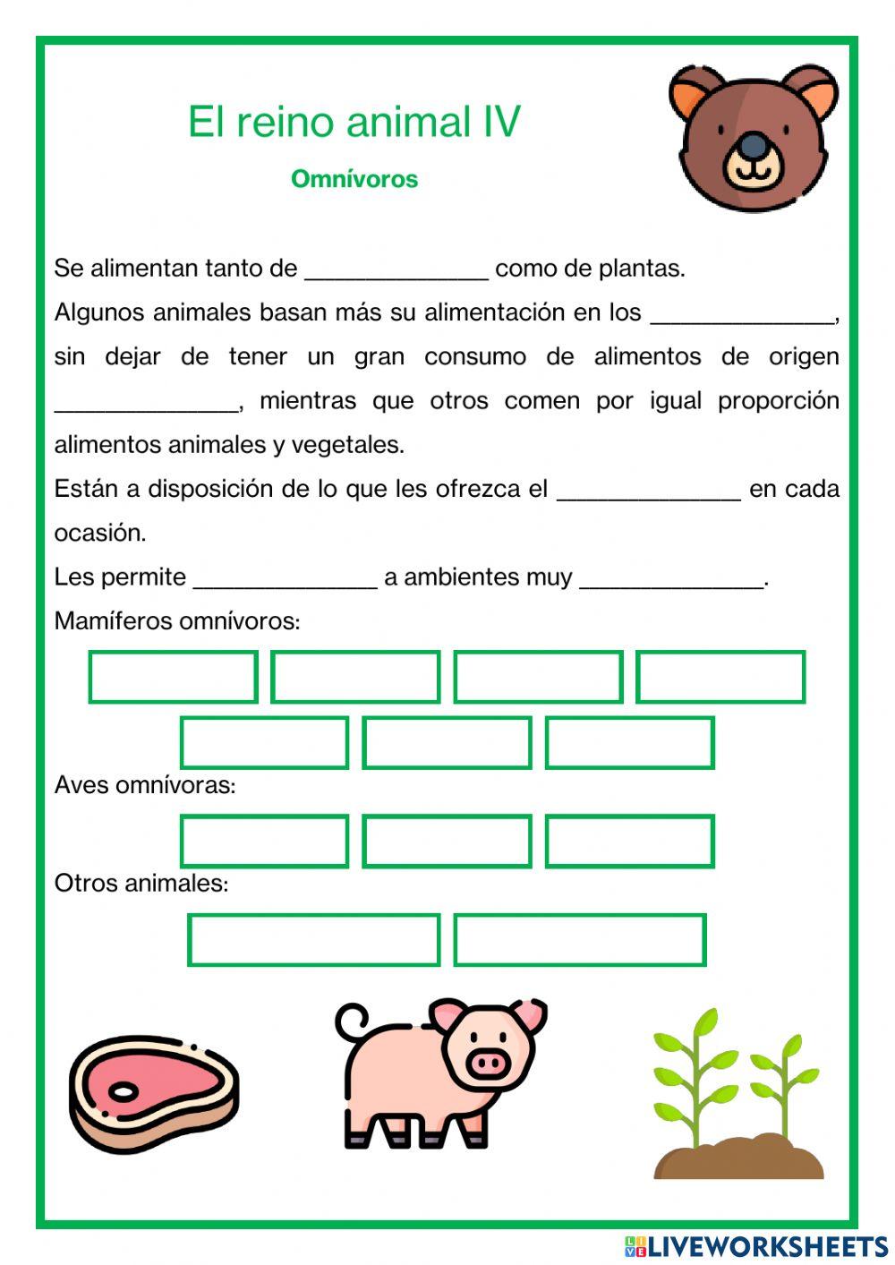 El reino animal IV - Omnívoros