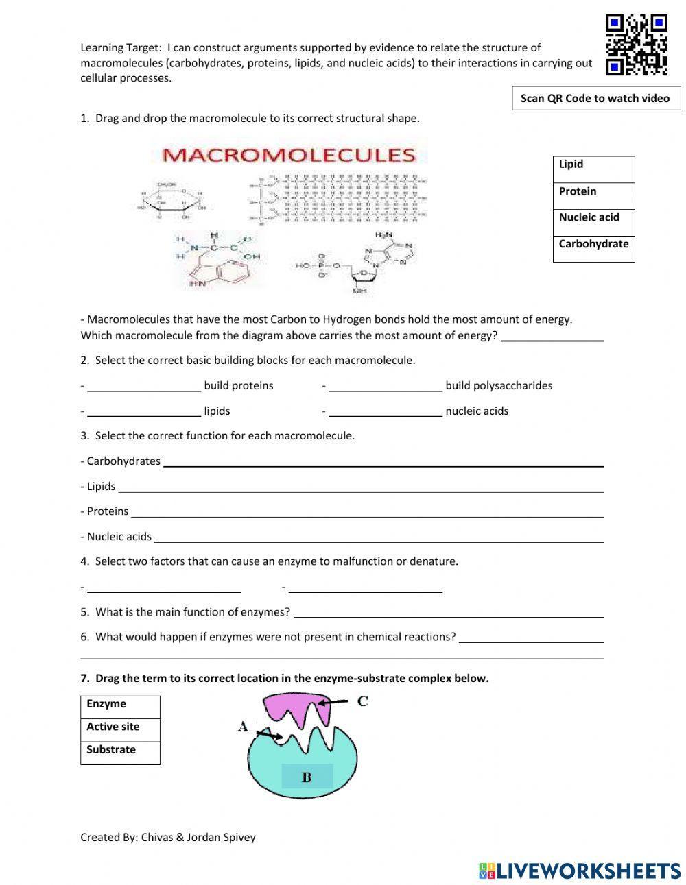 Biology Milestones Prep Macromolecules Part 2 worksheet Live Worksheets