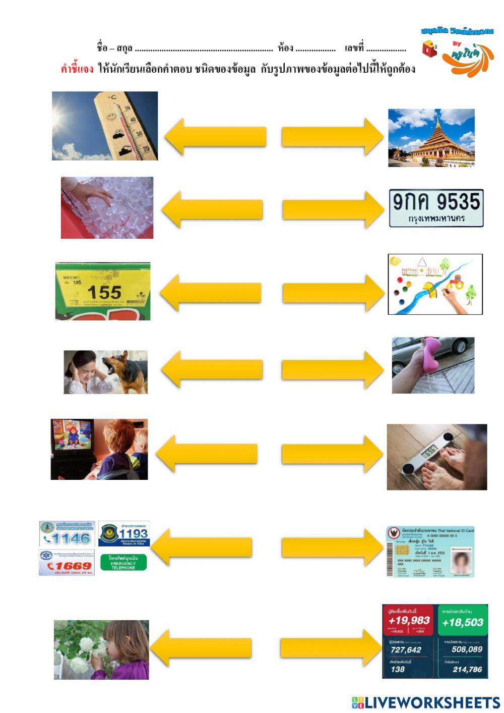 ประเภทของข้อมูล