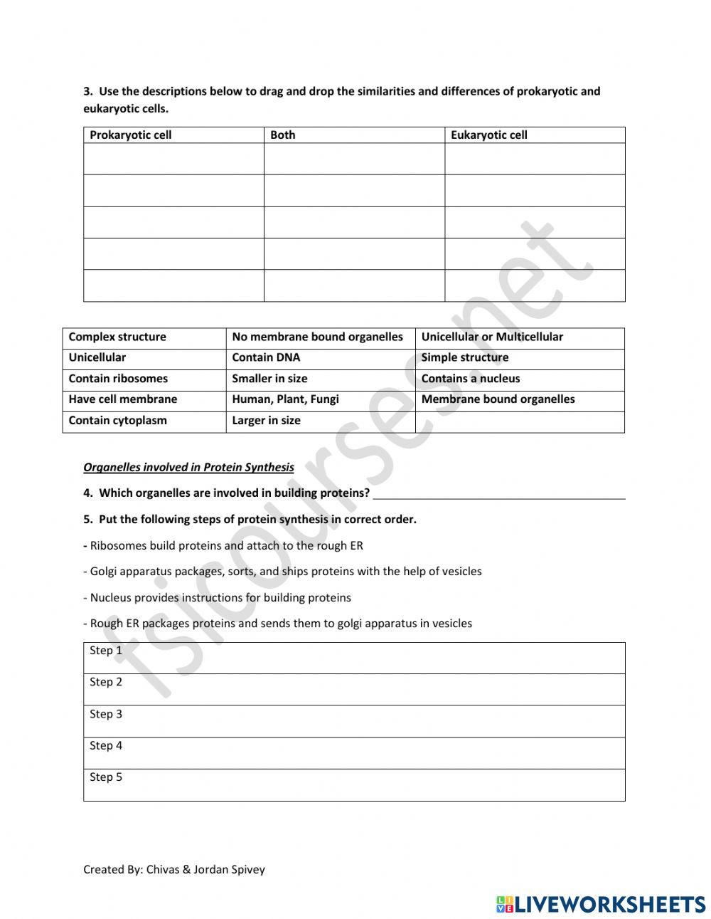 Cell Structure Assessment Prep Review