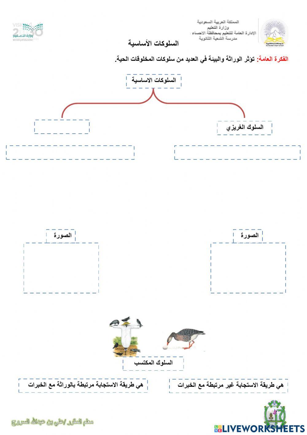 السلوكات الاساسية