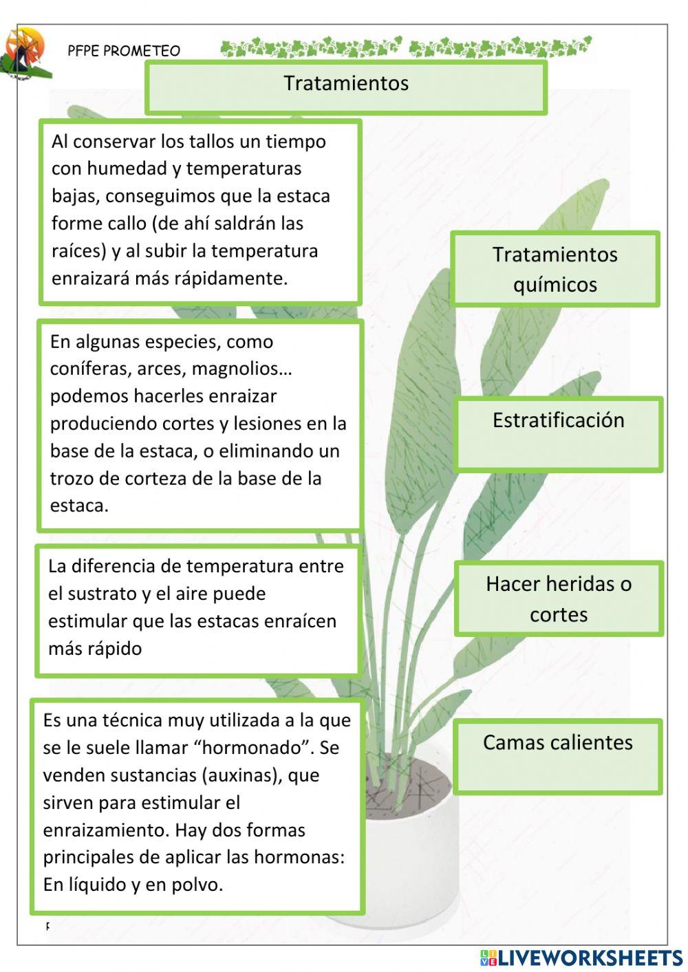 Tratamientos del material vegetal