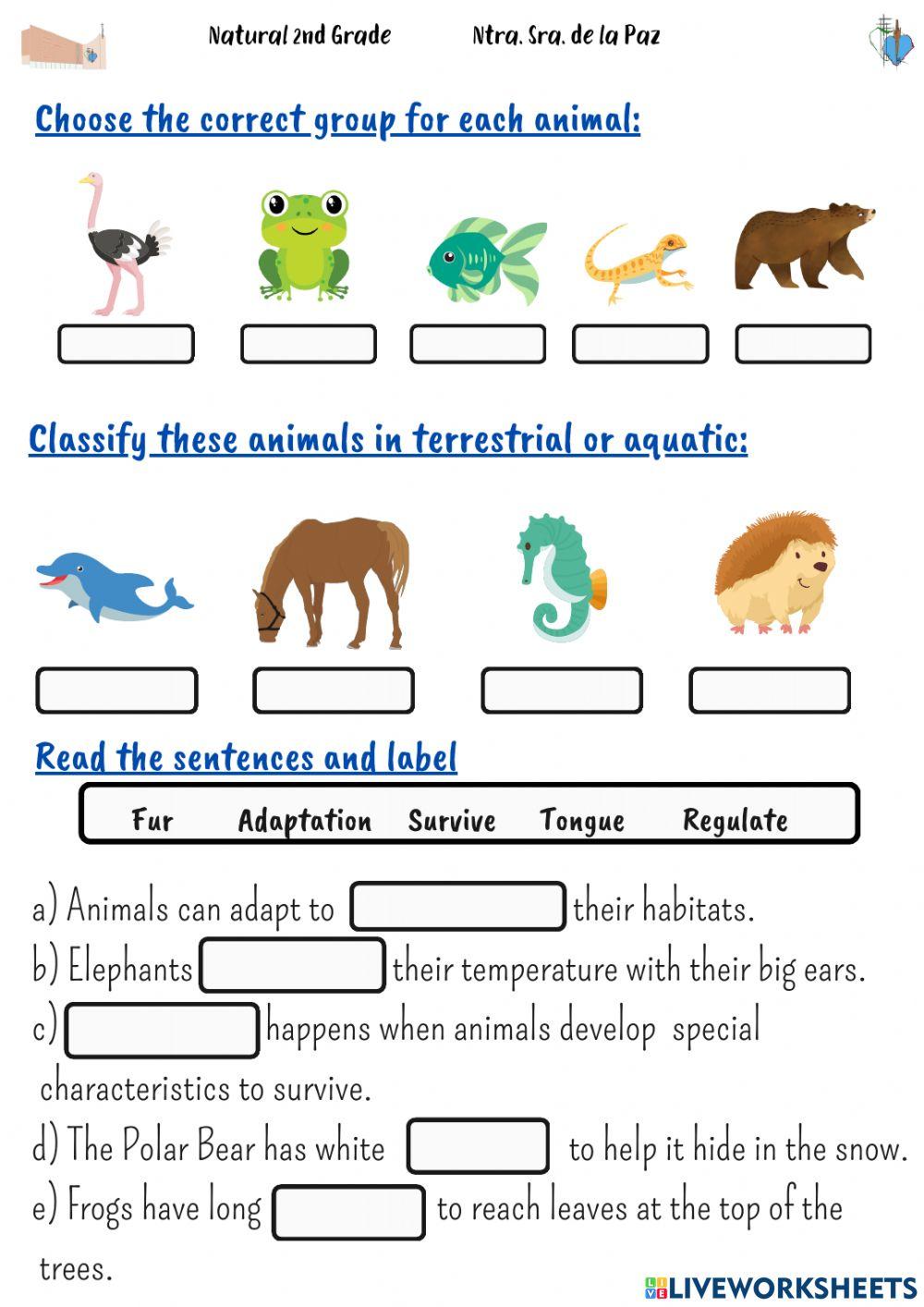 Animal Habitats 2285400 Mariareguilon LiveWorksheets Animal Habitats 2285400 Mariareguilon LiveWorksheets