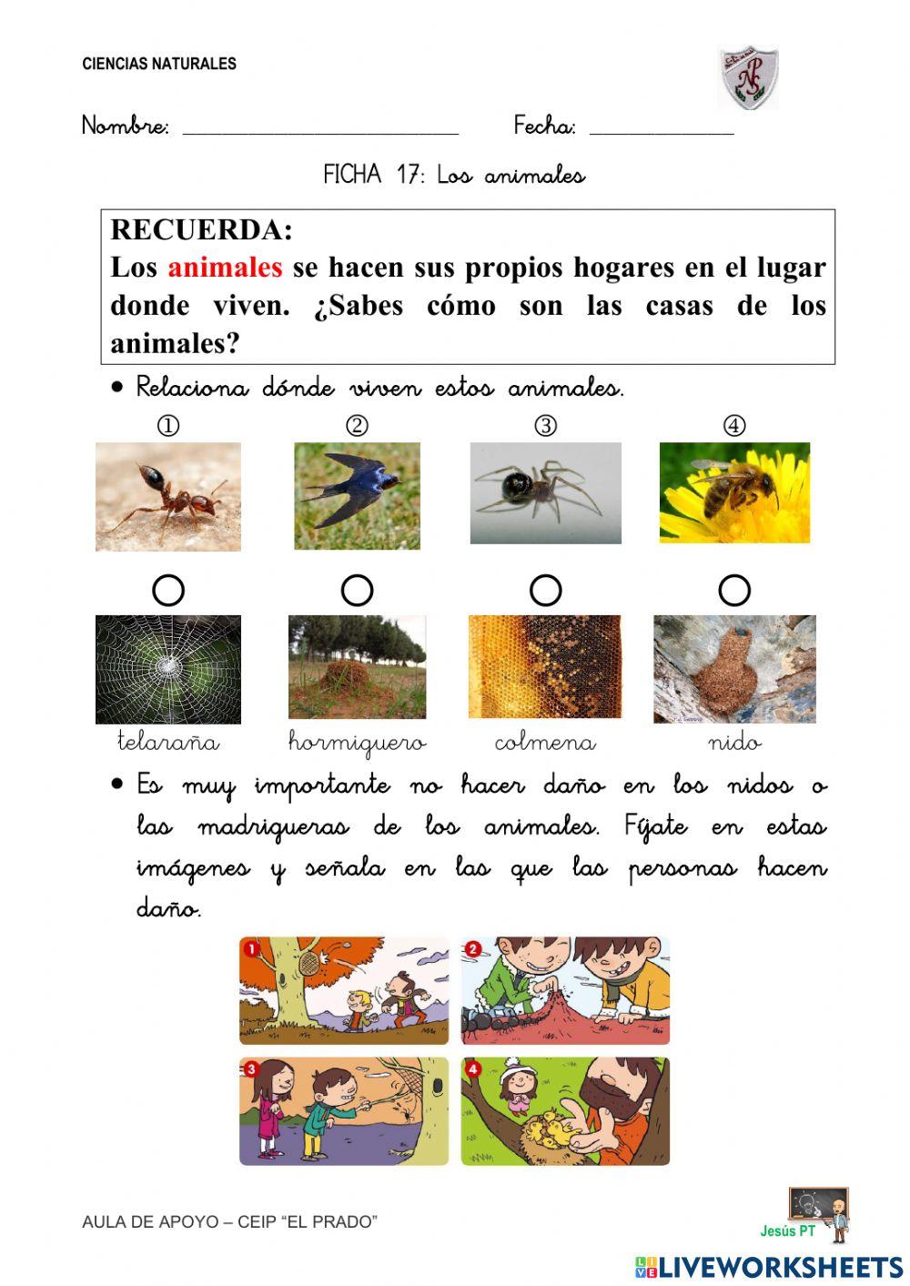 Ficha 17 Los animales-1EP-Ciencias Naturales Ficha 17 Los animales-1EP-Ciencias Naturales