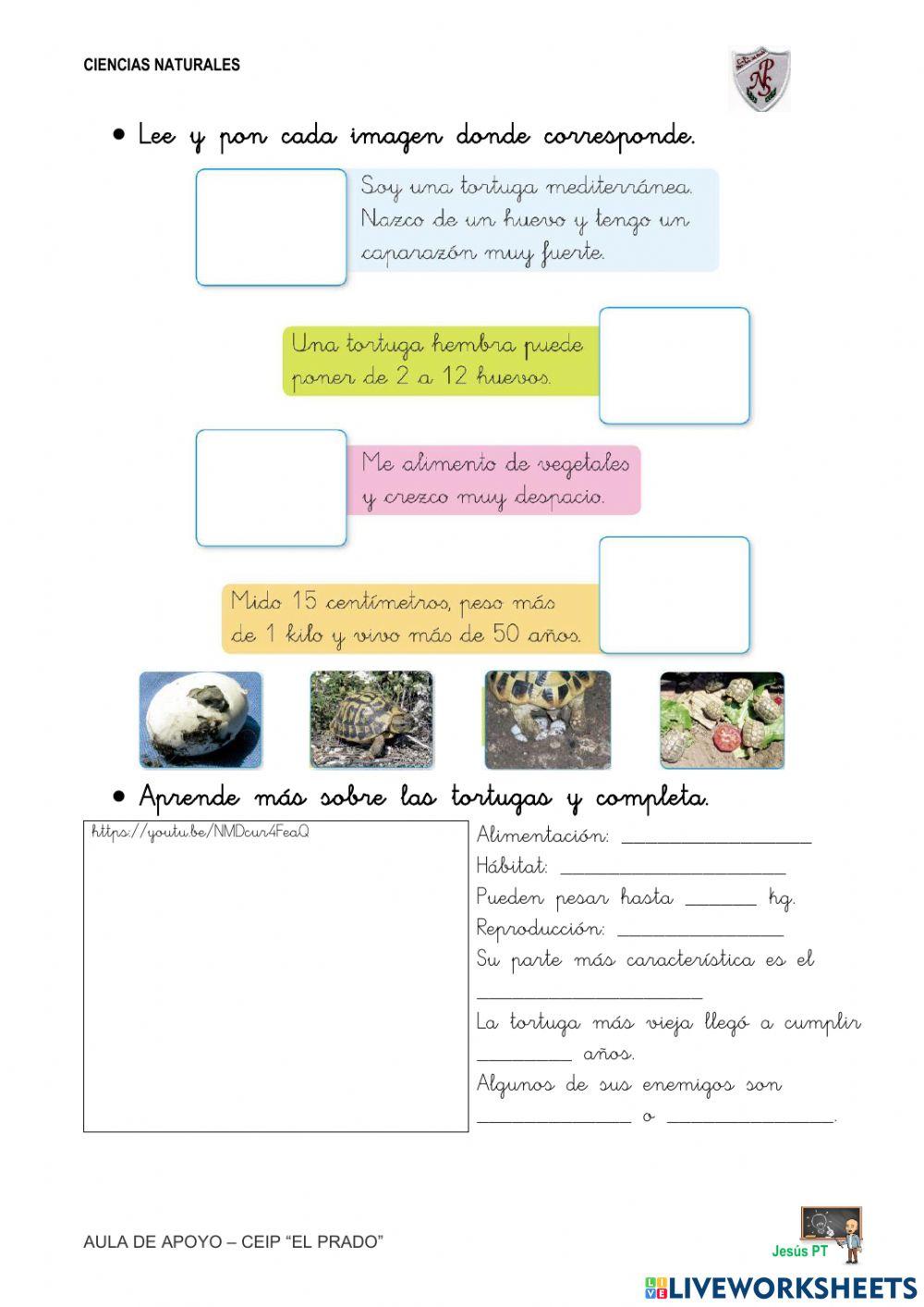 Ficha 17 Los animales-1EP-Ciencias Naturales Ficha 17 Los animales-1EP-Ciencias Naturales