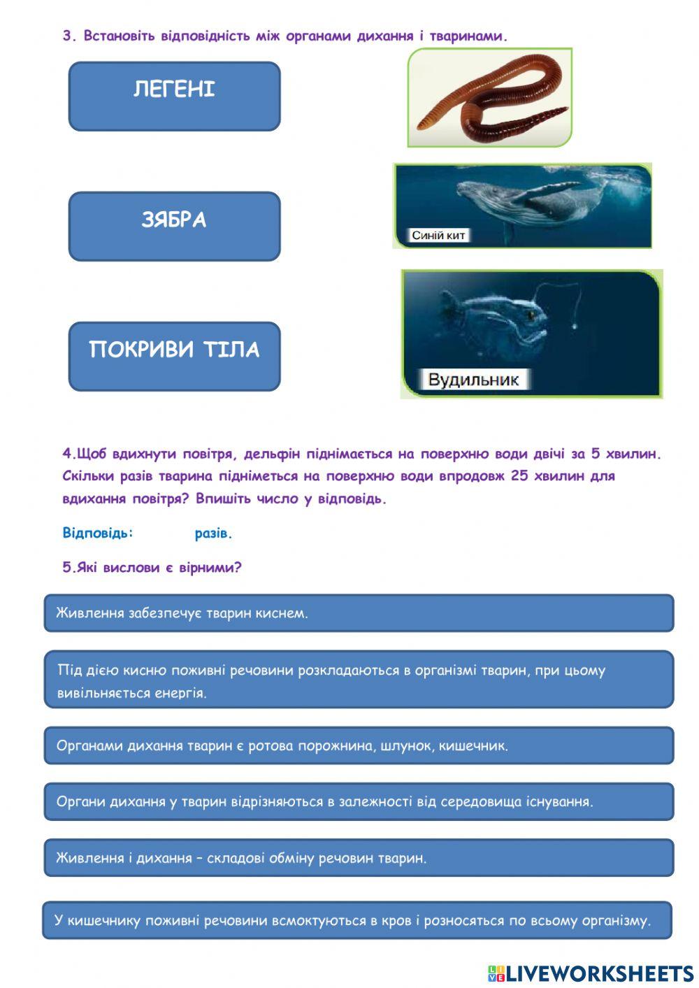 Для чого і як живляться тварини