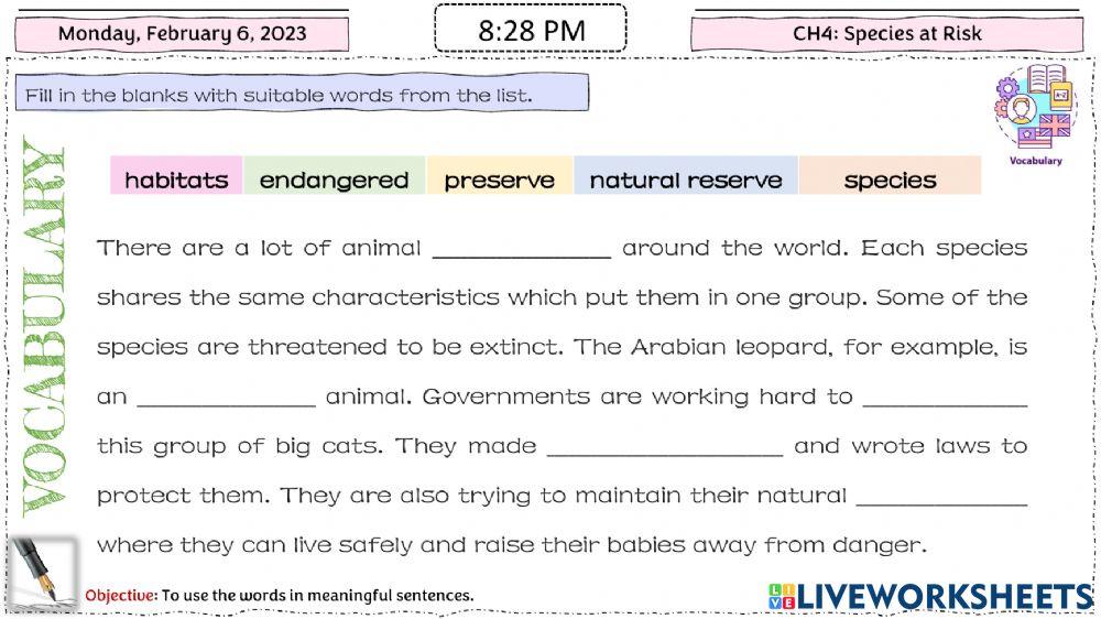 Chapter4- SP3- Vocab