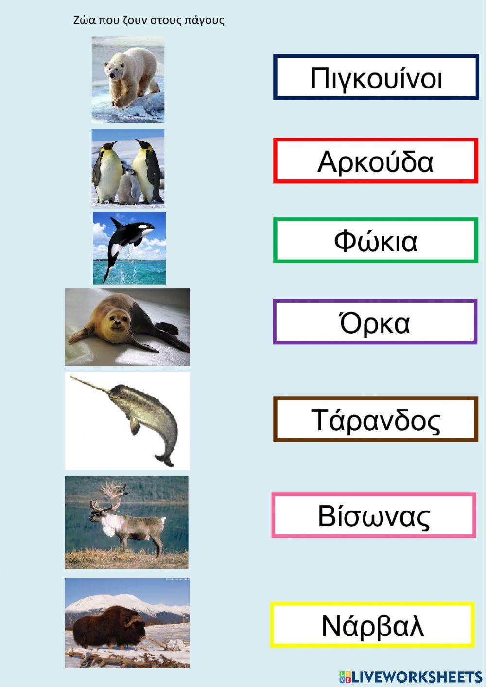 Ζώα που ζουν στους πάγους