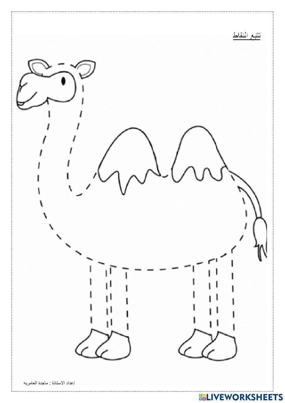 الرسم على النقط