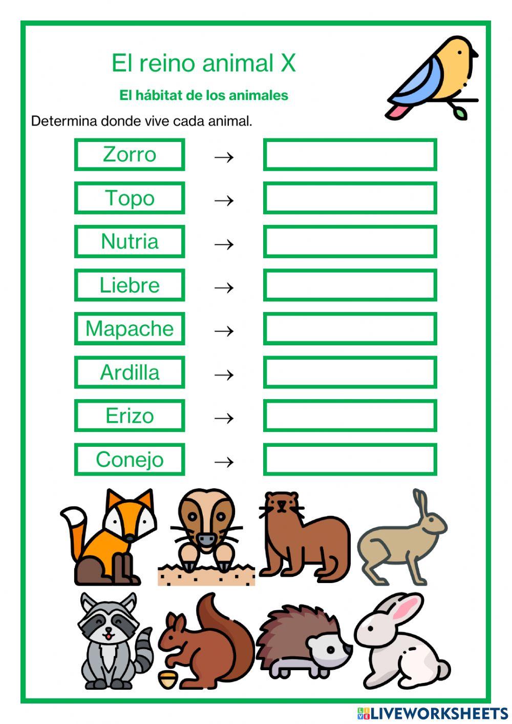 El reino animal X - El hábitat de los animales