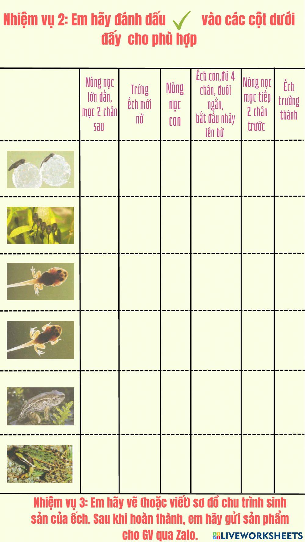 Sự sinh sản của ếch - pbt