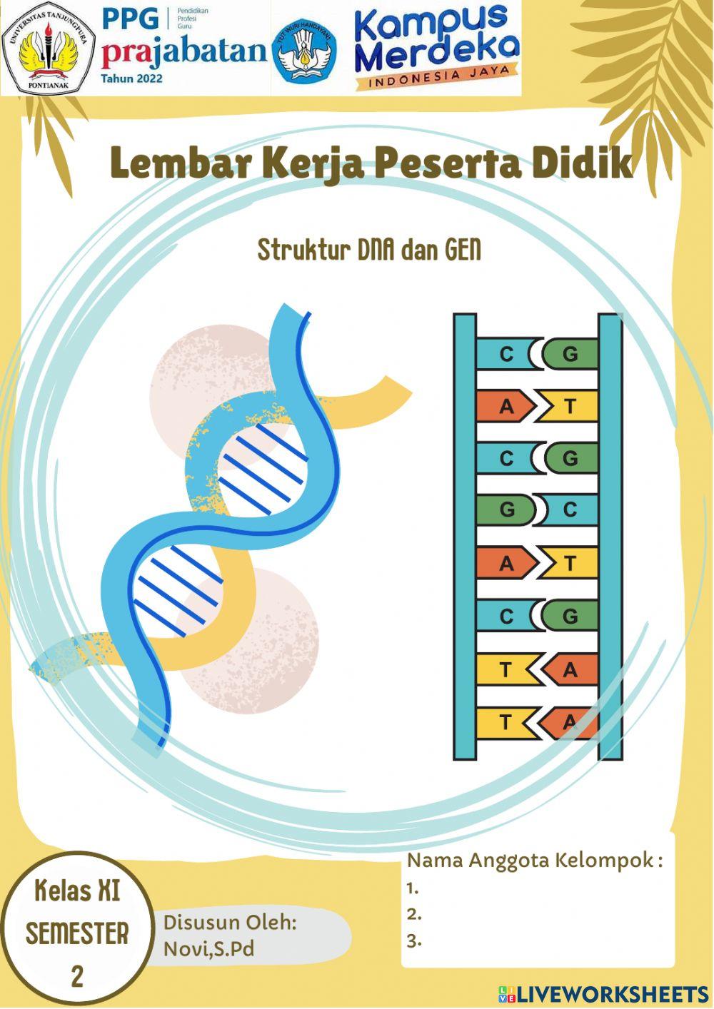 Lkpd struktur dna dan gen berbasis discovery learning