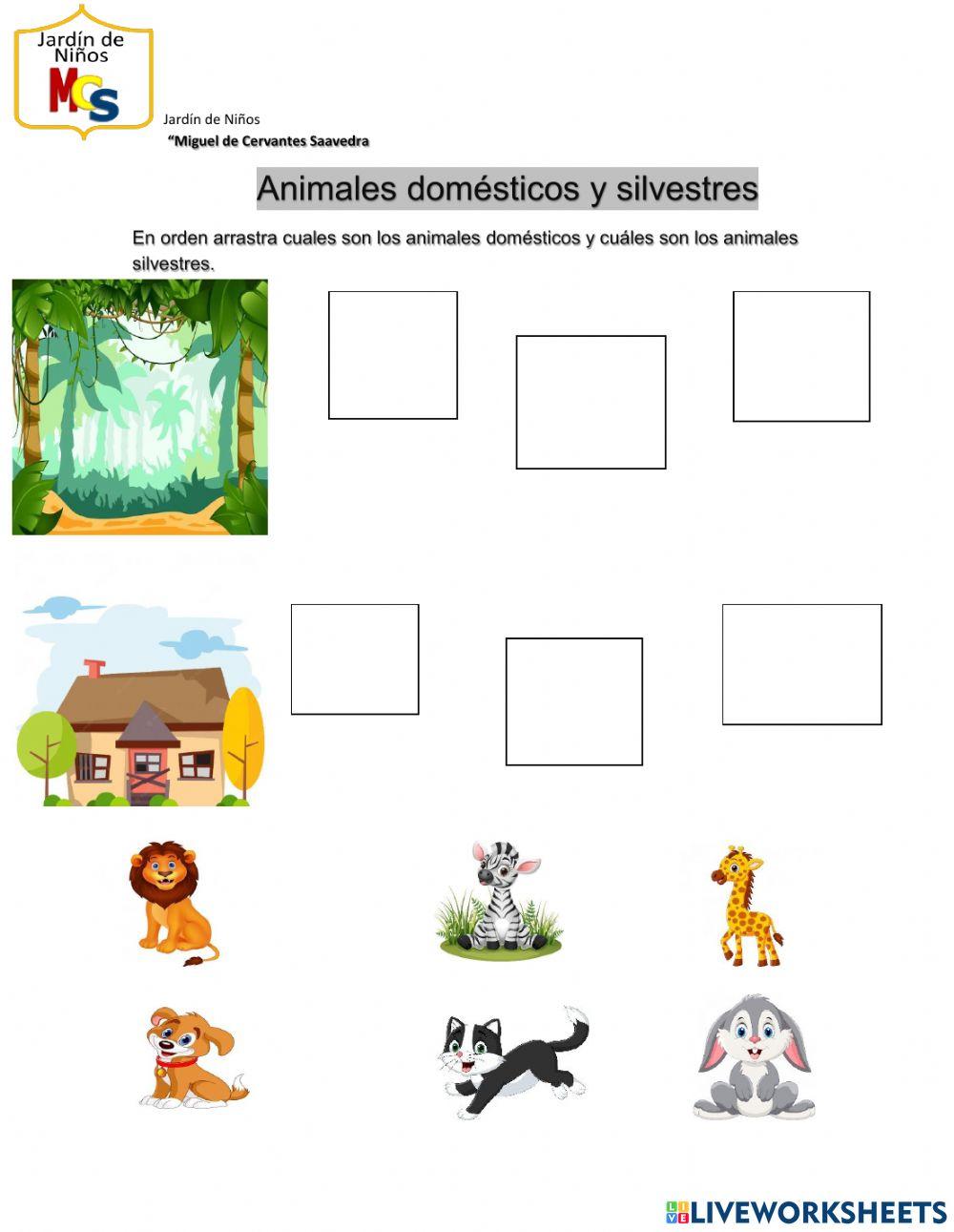 Animales domesticos y silvestres
