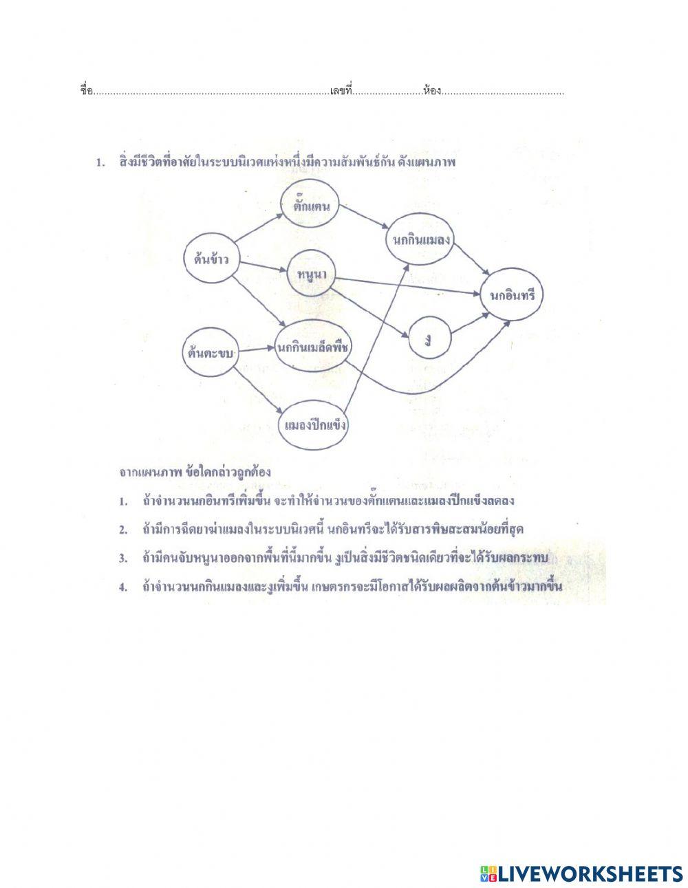 ข้อสอบโอเน็ตวิทยาศาสตร์ ชุด1