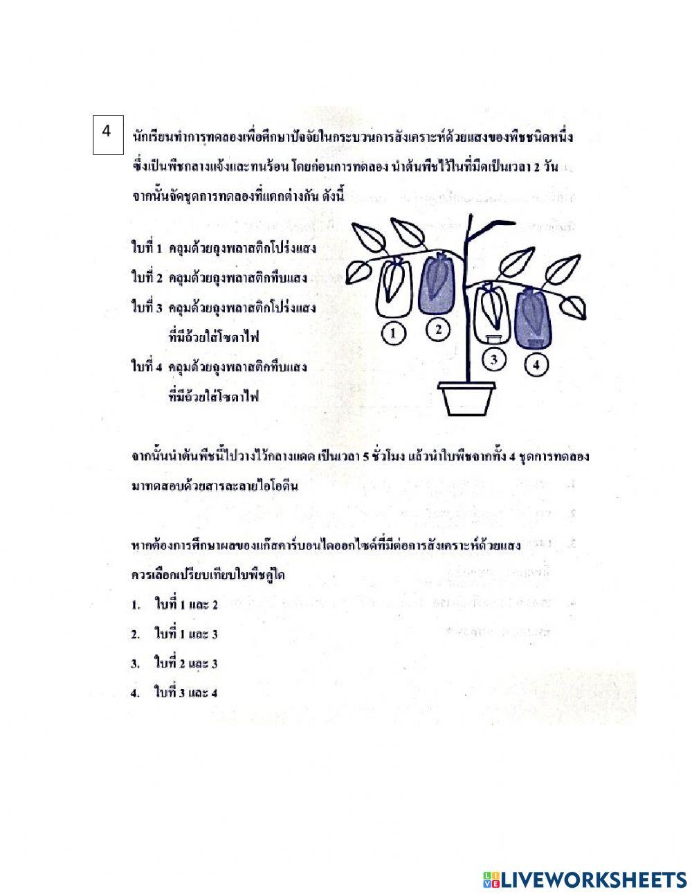 ข้อสอบโอเน็ตวิทยาศาสตร์ ชุด1