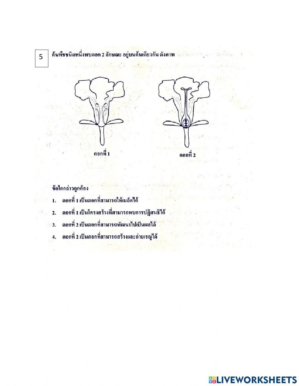 ข้อสอบโอเน็ตวิทยาศาสตร์ ชุด1