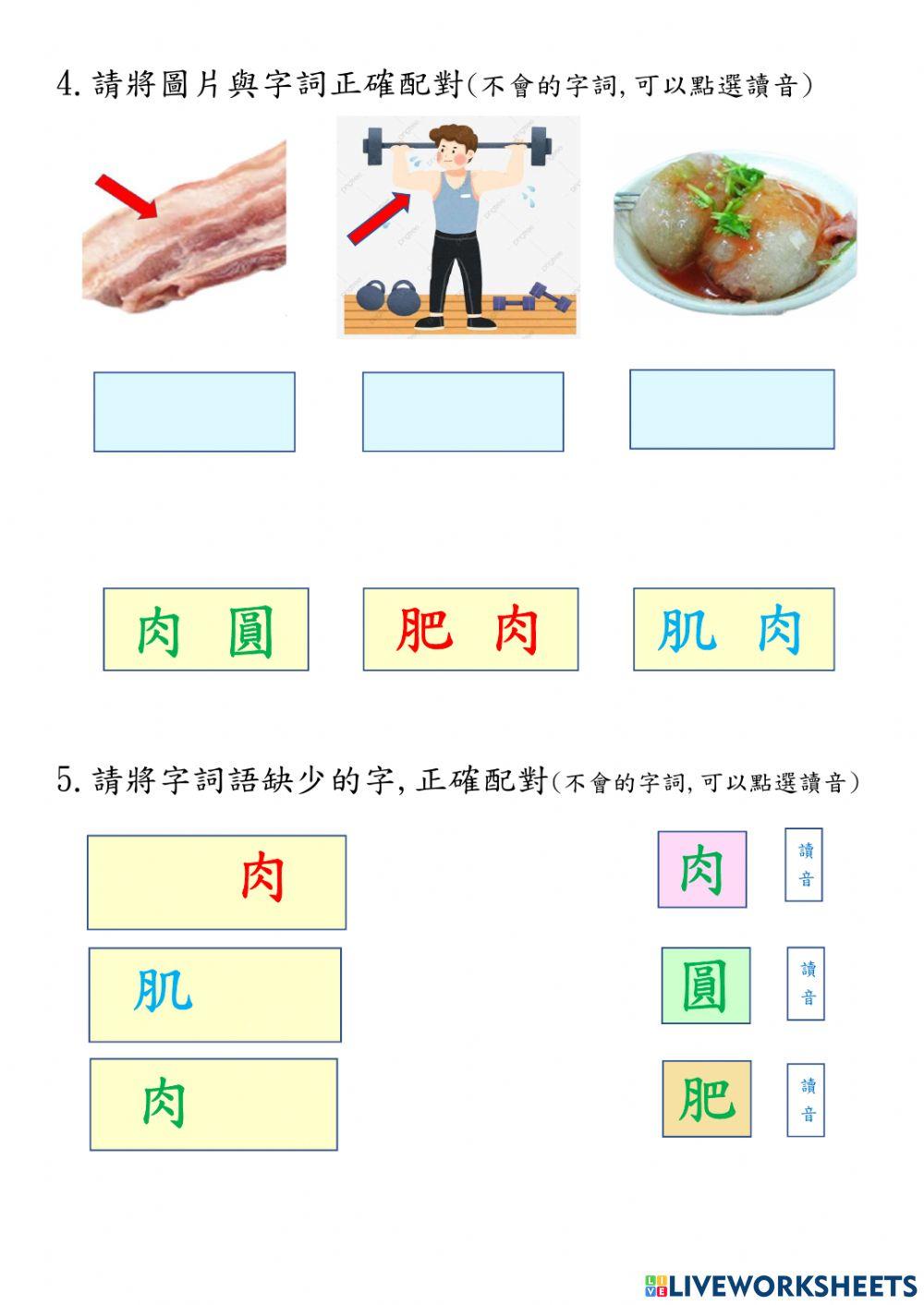 中秋節--肉-的造詞造句