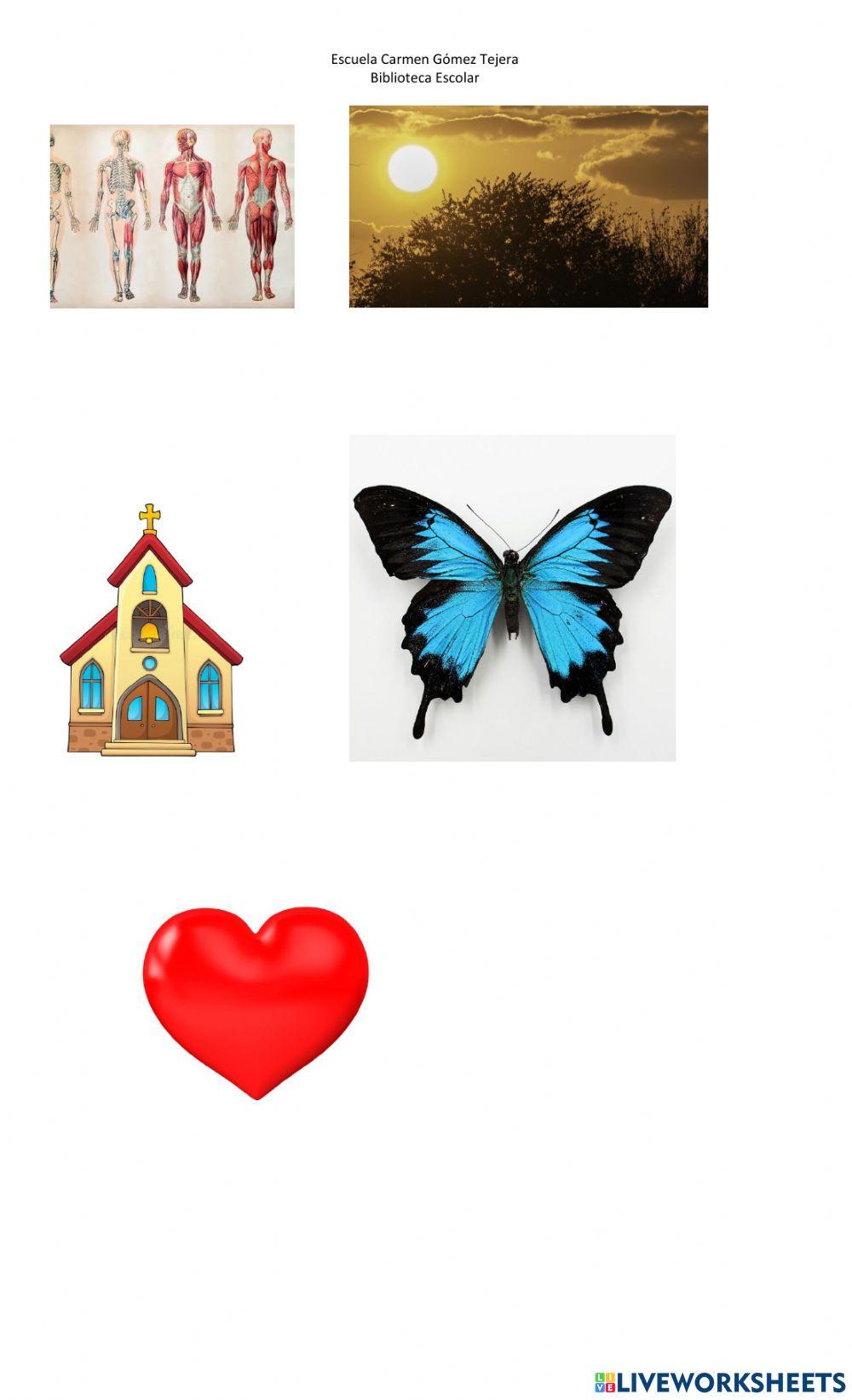 Vocabulary -2 Match word-image