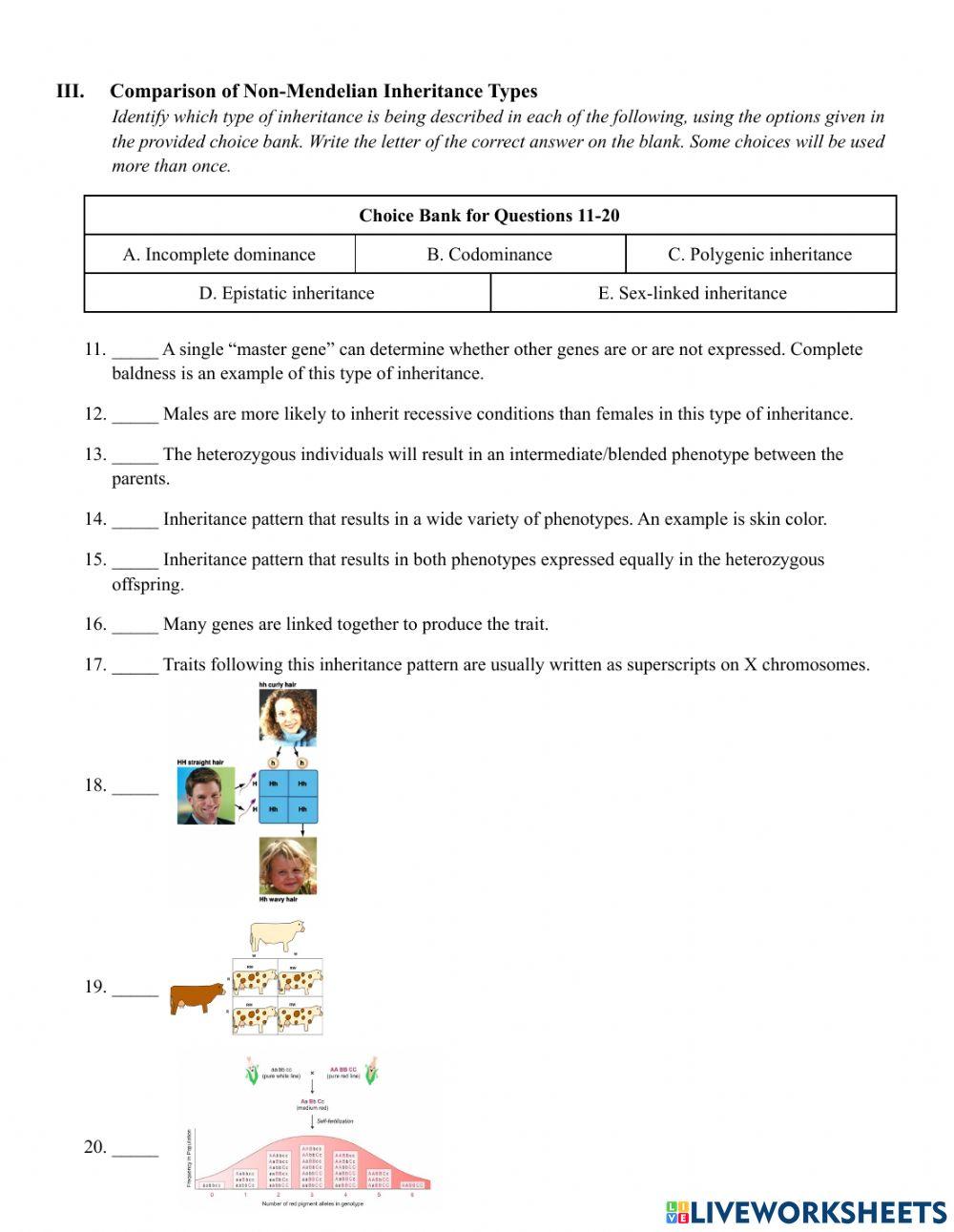 Comparison of Inheritance Types
