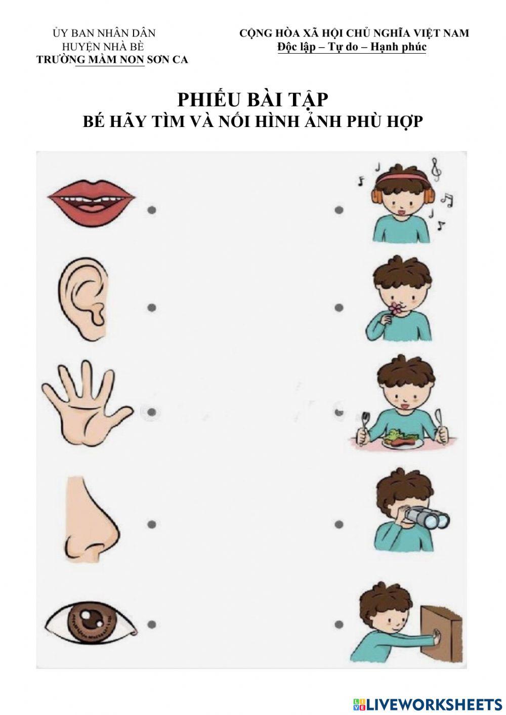 Bé hãy tìm và nối hình ảnh phù hợp