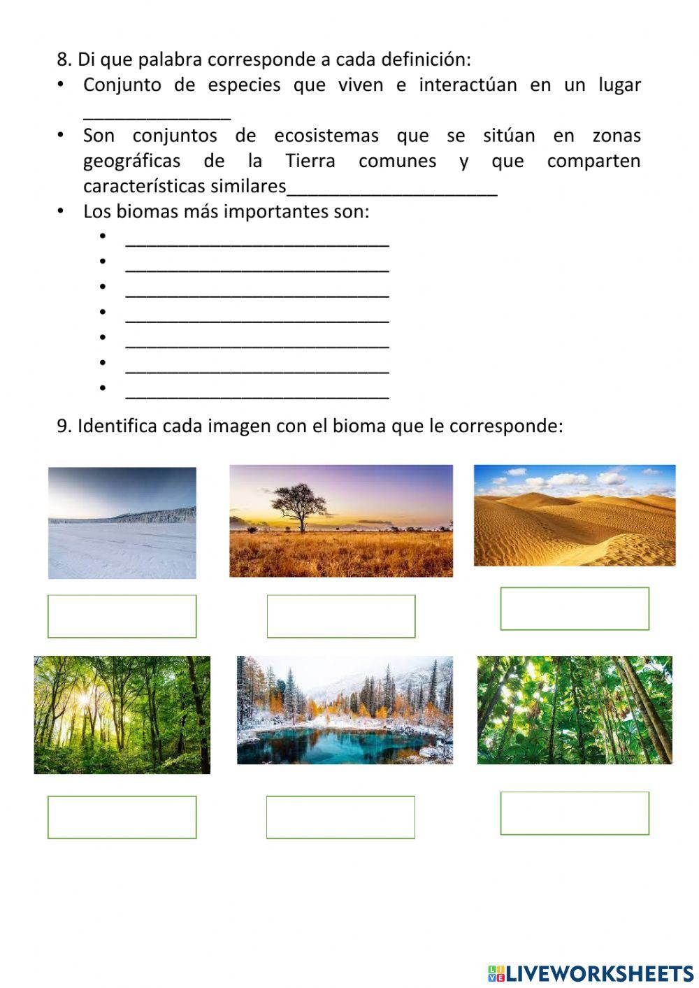 Conocimiento del medio - tema 2