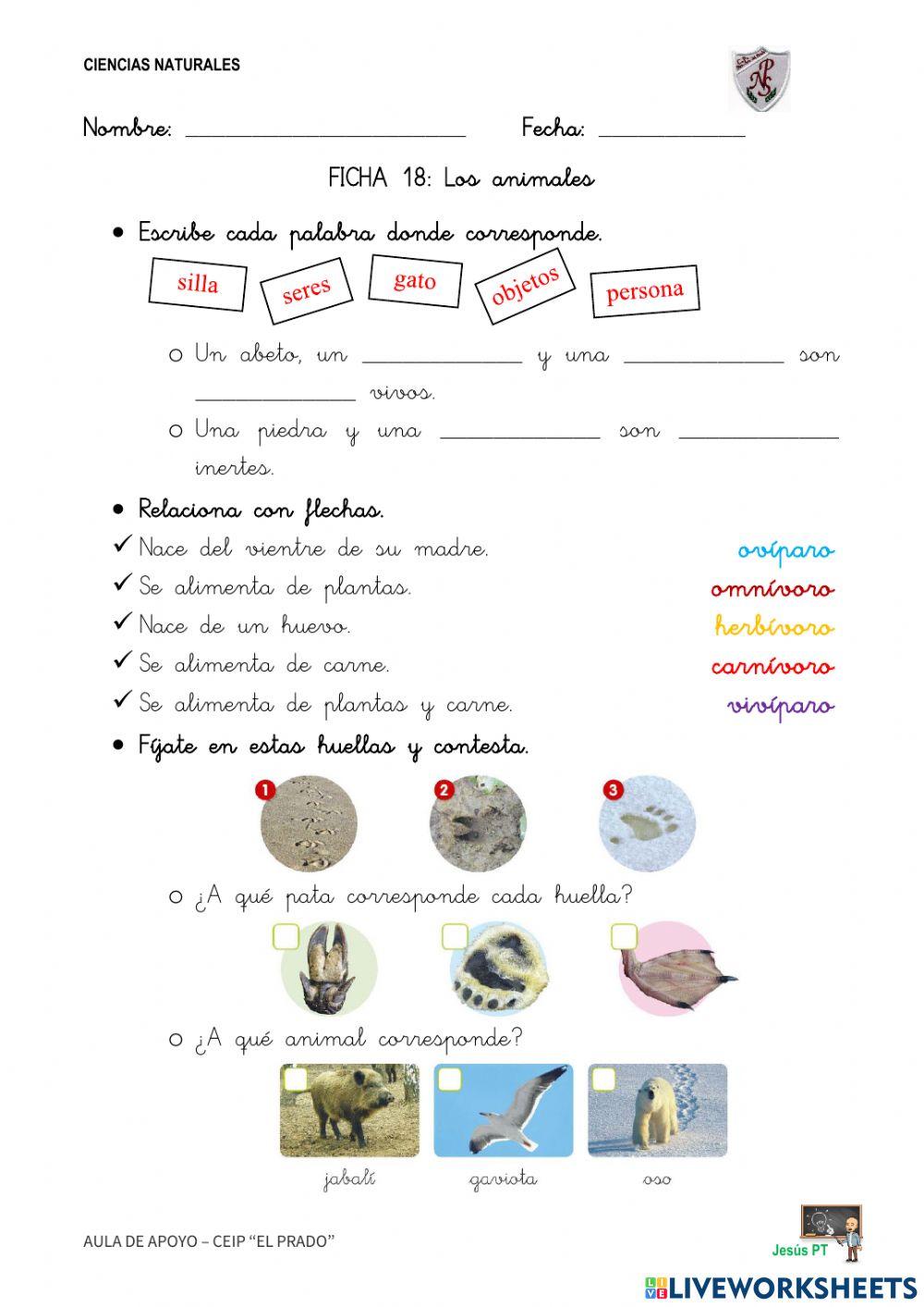Ficha 18 Los animales-1EP-Ciencias Naturales Ficha 18 Los animales-1EP-Ciencias Naturales