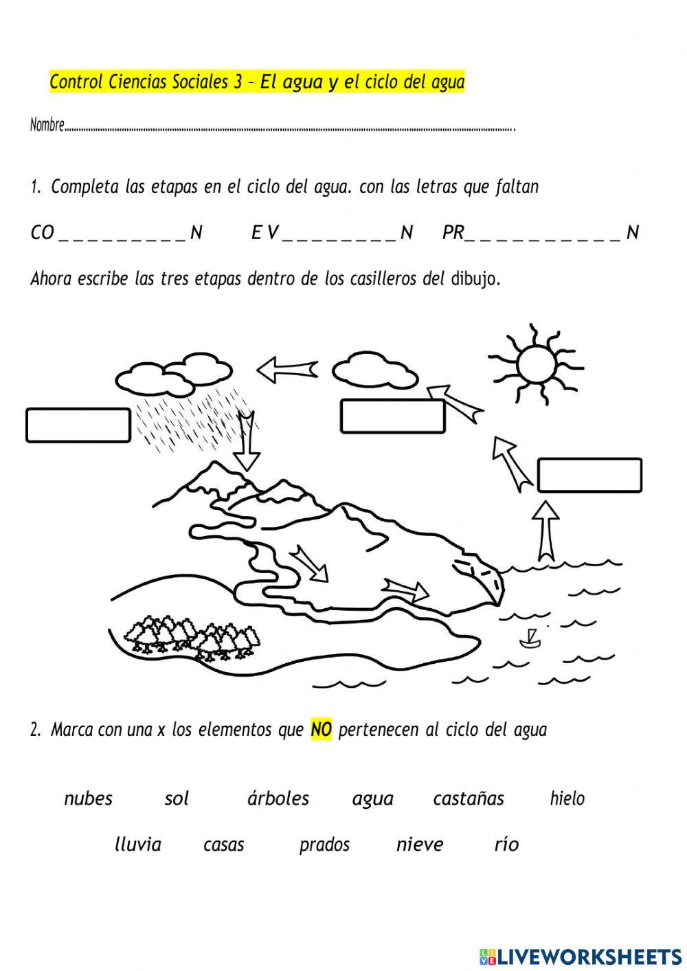 El agua y el ciclo del agua