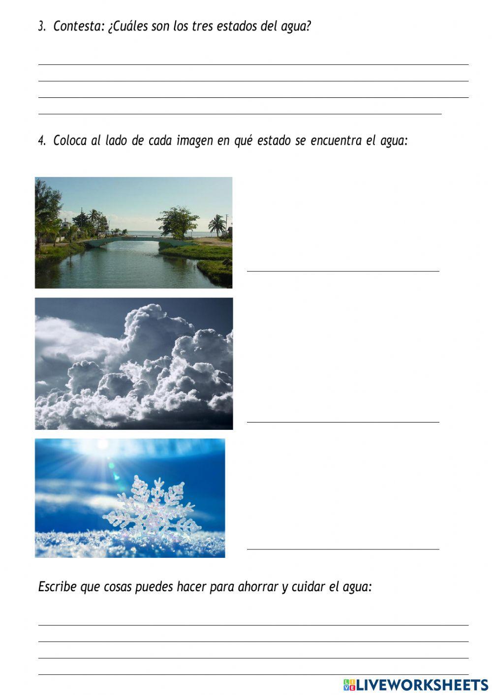 El agua y el ciclo del agua