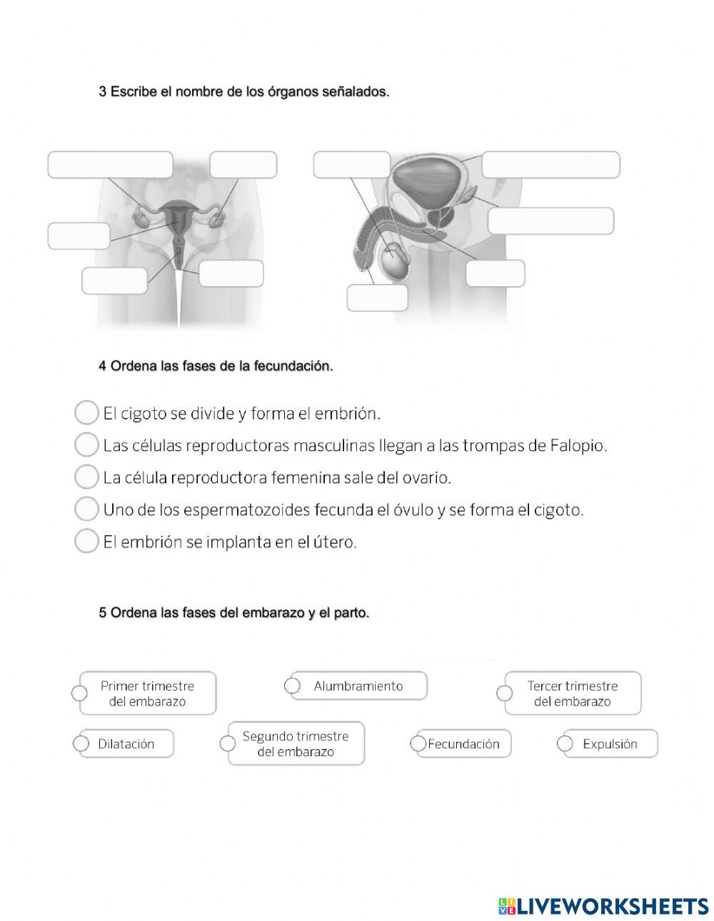 Unidad 3 Ciencias Naturales reproducción