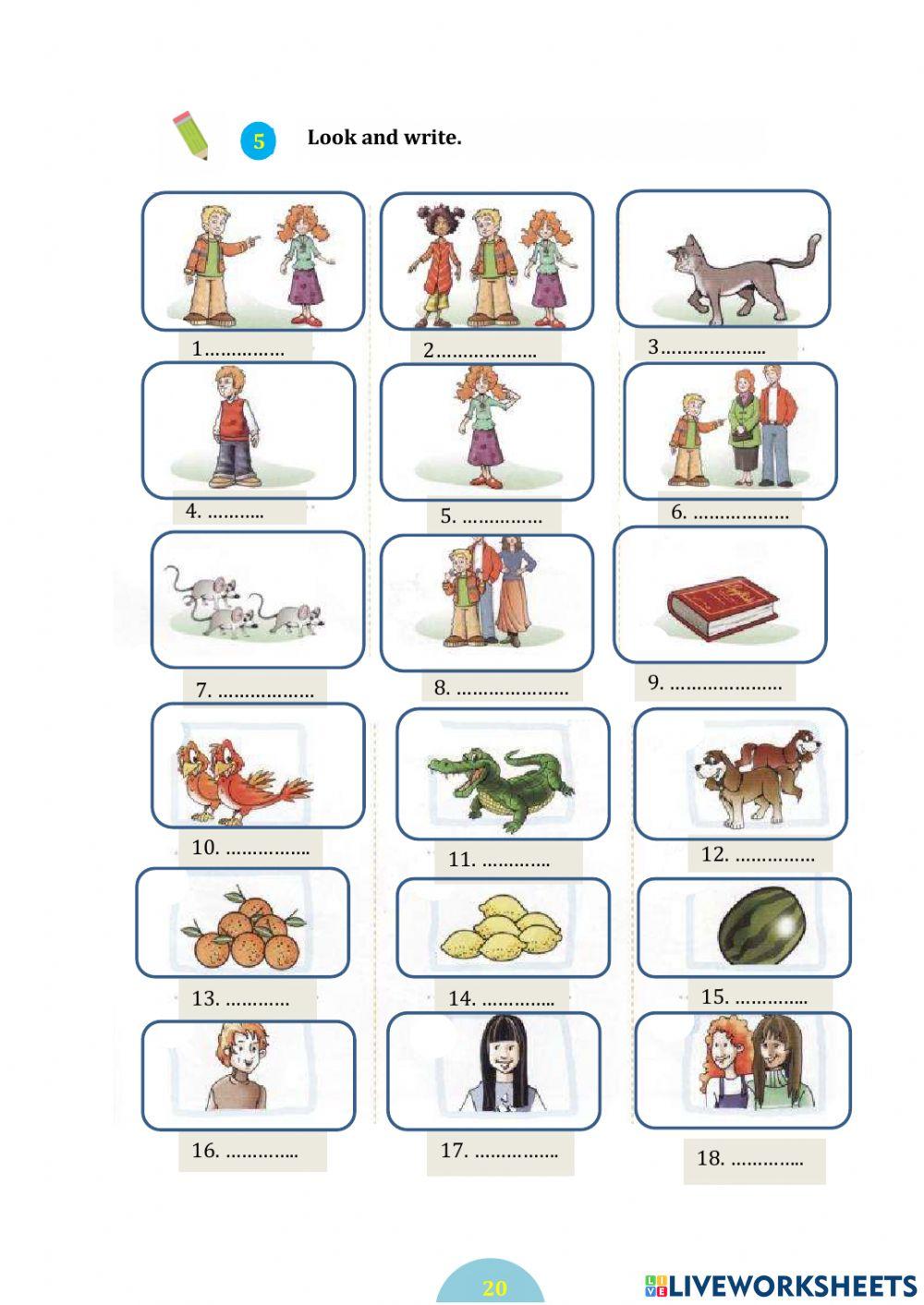 Unit 3 Personal pronouns (Đại từ nhân xưng)