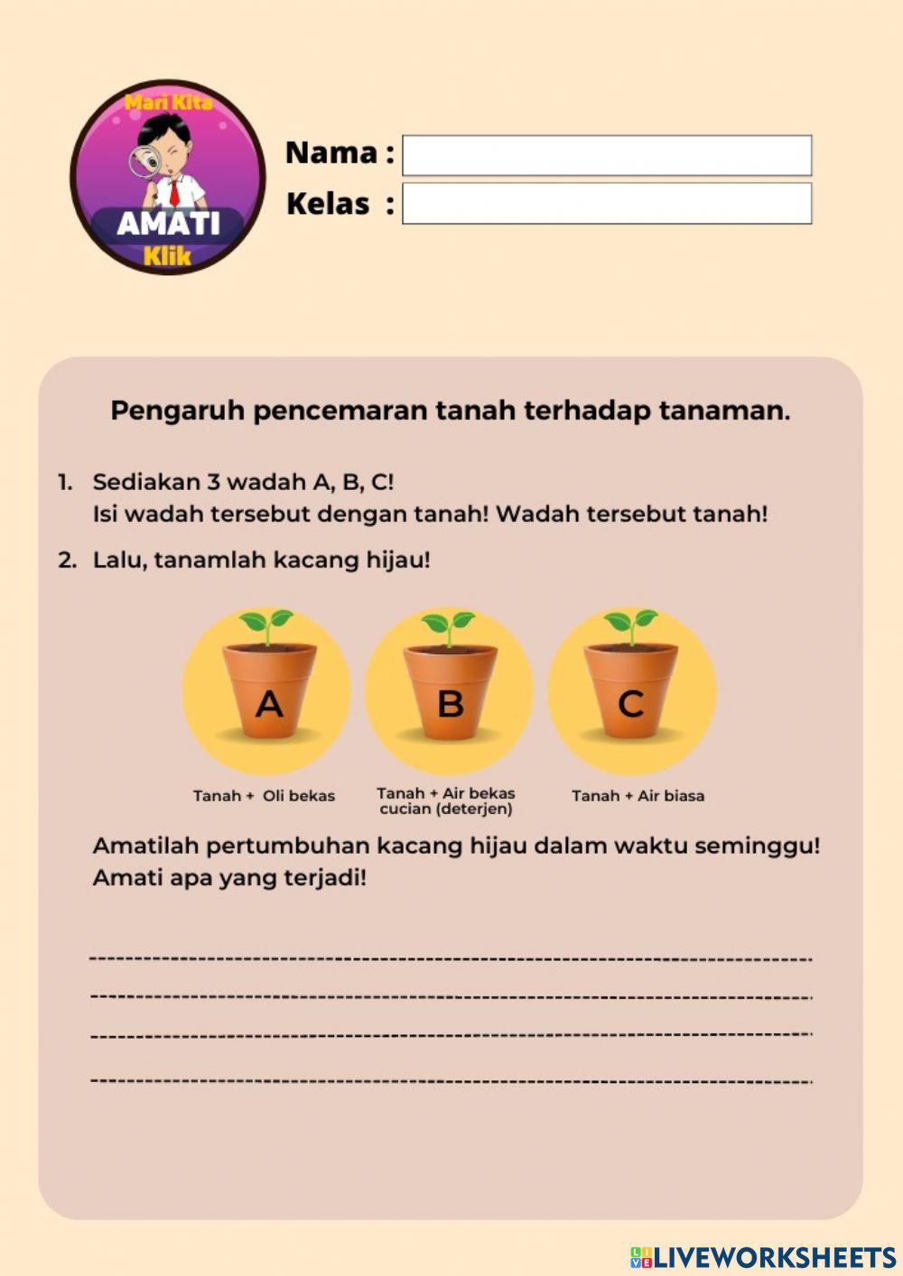 Tanah-Mari Kita Amati-28